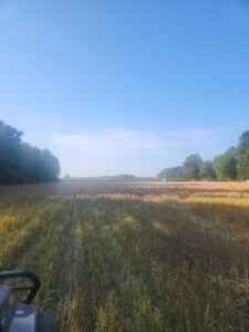 Winter wheat spraying/ soybeans