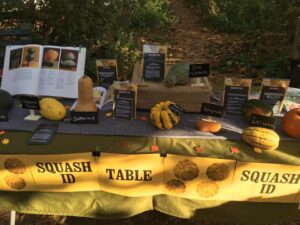 Squash ID Table