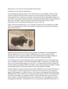 Match A Yak pg 1