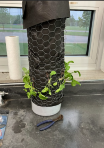 A student-made vertical garden featuring a white pot base and chicken wire frame, likely used for growing climbing plants or displaying small potted plants.