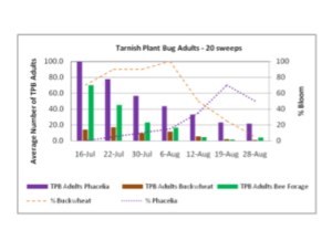 Figure 7. Comparison of tarnished plant bug adults on cover crops.