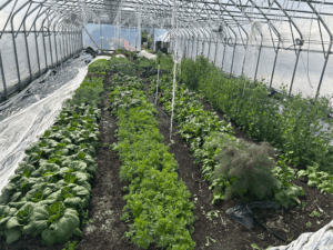 Our first CLDCM blocks installed 4 years ago