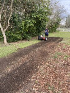 Prepping wildflower patch