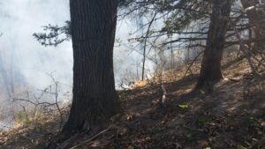 timber fire