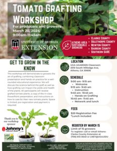 tomato workshop