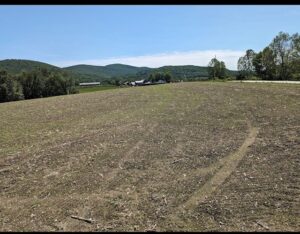 Trial field spring 2023