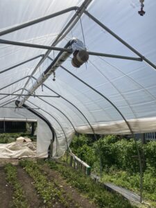 Photo shows the inside of a small high tunnel, with a wrapped insulated pipe running up and end wall and suspended above the center of the high tunnel.