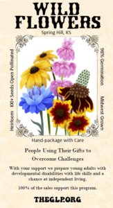  Midwest Wildflower Seed Mix