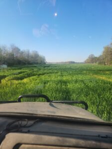 Winter Wheat last spraying