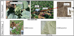 Objective 2b picture