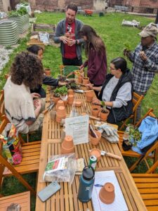 Teaching in the garden