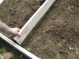 Installing dividers in our raised beds