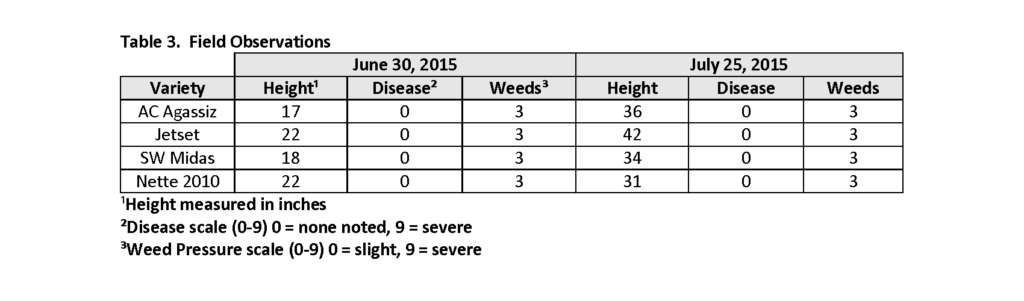 TABLE 3: FIELD OBSERVATIONS