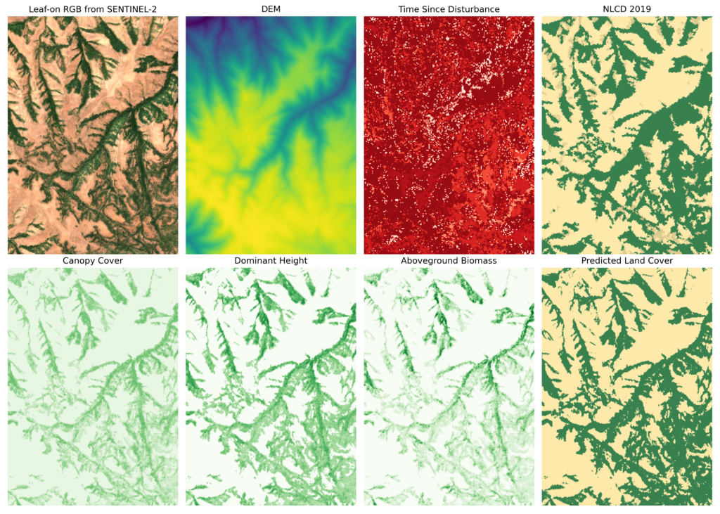 example of input and output for forest predictions for a dry forest area