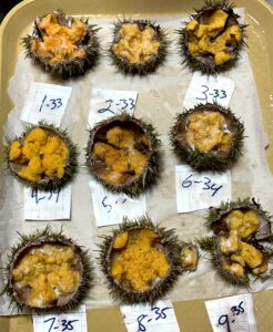 Uni sampling