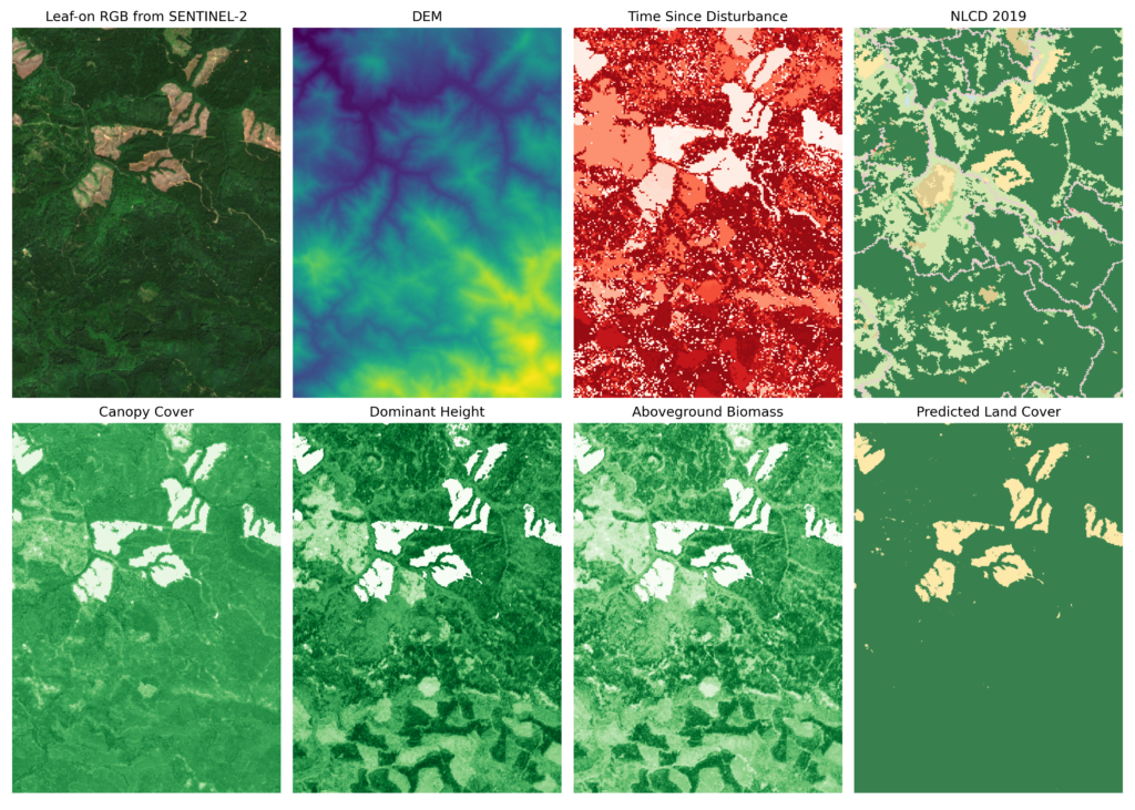 example of input and output for forest predictions for a moist forest area