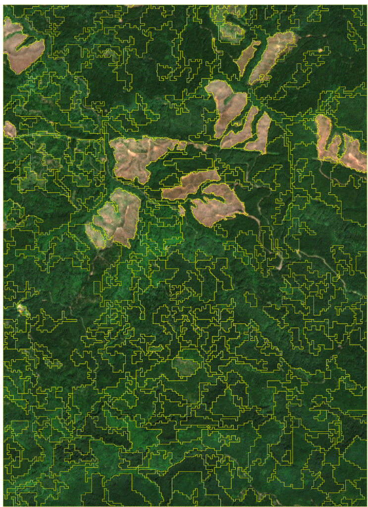 example forest stand delineation