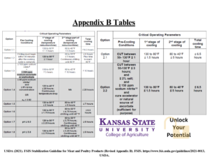 Handout that provides processors with Appendix B requirements