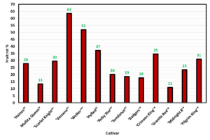Figure 2: Fruit rot incidence of 13 different hybrid cultivars planted at the UMass Cranberry Station as part of the cultivar evaluation study. 
