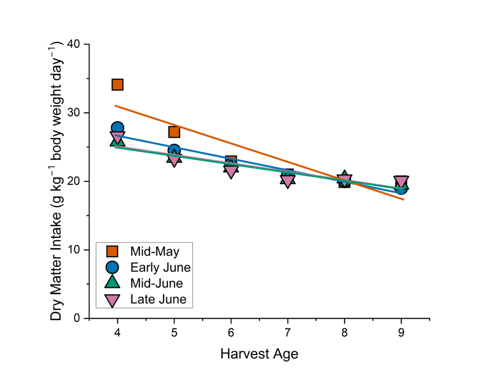 Scatter plot showing crabgrass dry matter intake for different planting dates and harvest ages.