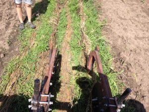 August 2016 Field Day NTPA trial