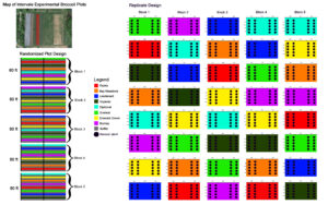 ICF 6/10 planting plot diagram