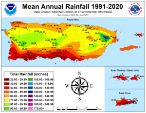 Most people assume Puerto Rico is a tropical paradise all around, but really, the island possesses regional biomes such as subtropical rainforest, tropical rainforest subtropical dry forest, dry forest, arid desert, and tropical savannah.