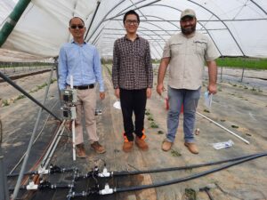 Sensor based irrigation system in high tunnel