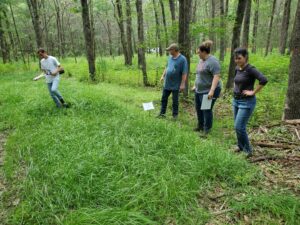 Evaluation of forage plots in the hardwood area.
