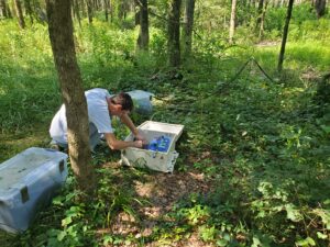 Installation and testing of soil sensors.