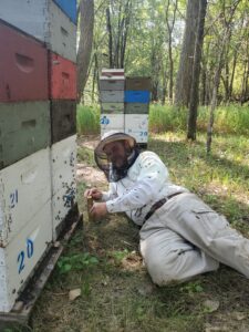 Project Coordinator Ross Klett helping catch drones for insemination. Note the honey supers stacked on hive!