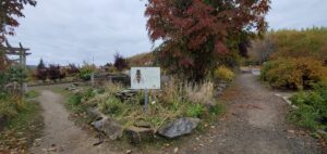 Permanent pollinator sign at garden