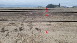 Precipitated calcium carbonate applied to a recently harvested potato field