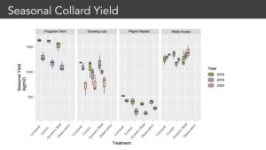 2018-2020 collard green yields