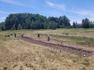 Planting Benugzenug (Walpole Island White Flour Corn) at Bushelcraft Farm.