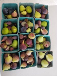Figs in pints ready for sale.