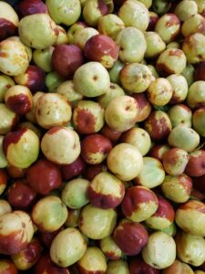 Rock Front Ranch produces certified organic ripe, fresh jujubes.