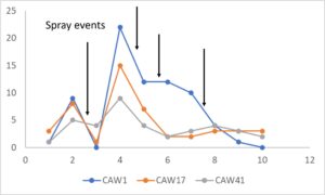 Beneficial arthropod counts by sampling event and in relation to spray events during 2023