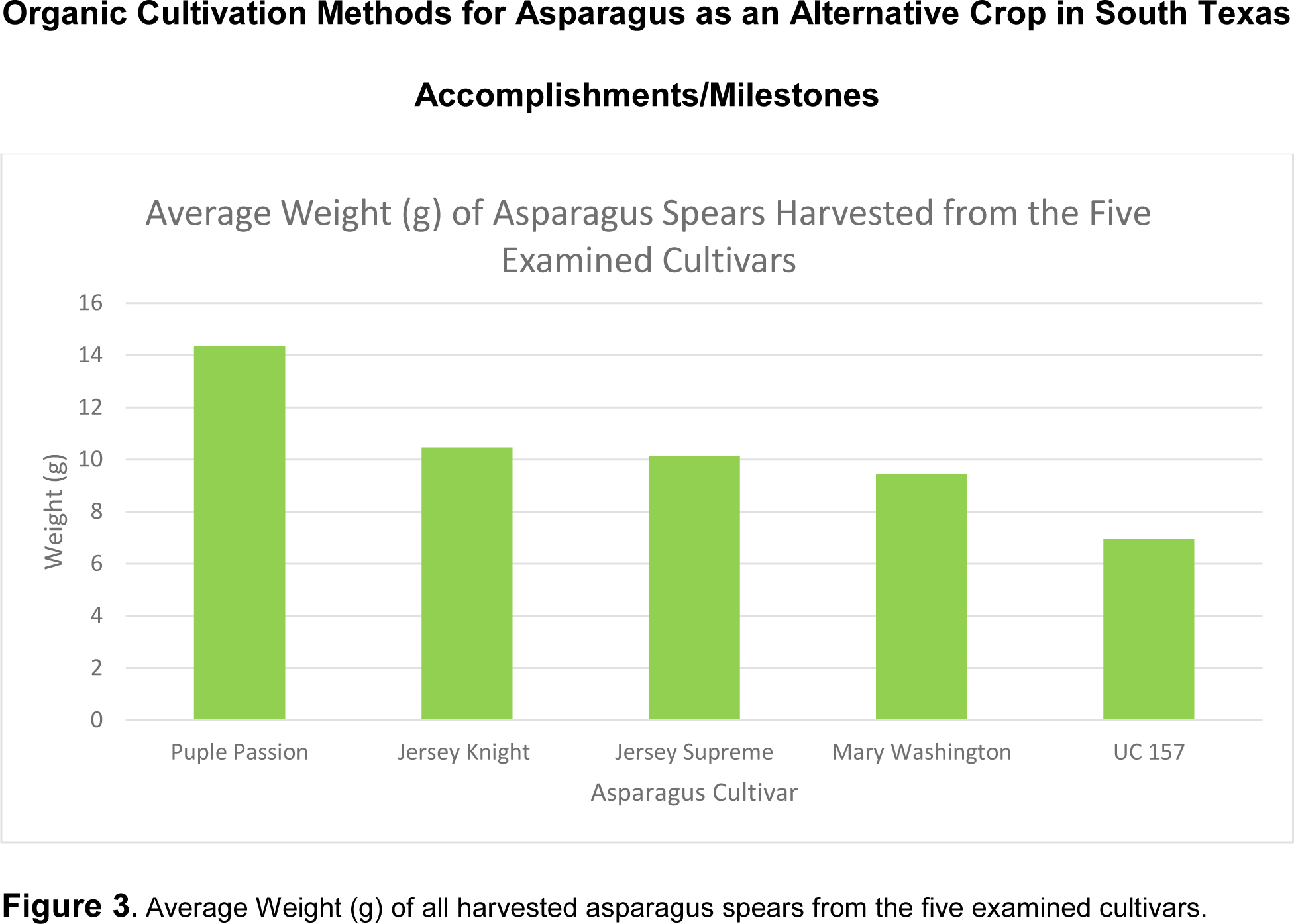 Figure 3 SARE annual report 2016 Asparagus