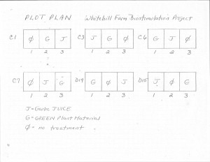 Plot plan showing bed section and randomized treatments