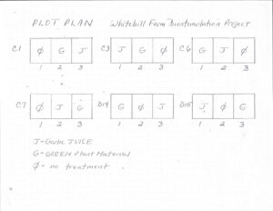 Plot plan showing bed section and randomized treatments