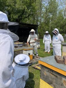 Beekeepers in protective gear standing around hives. 