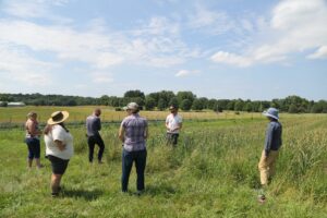 Farmers standing in field of cover crop at Equicenter (Rochester, NY)