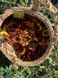 Basket of dye flowers