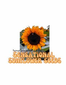Sunflower_seeds