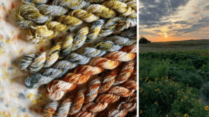 Naturally dyed skeins of yarn and the dye flower field