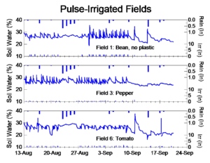 Figure 4. Rain, irrigation and soil moisture for pulse irrigated (30 minute duration) fields in 2010 at Brigham Hill Farm.  