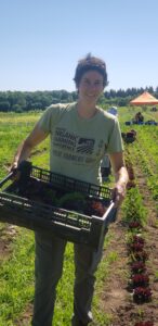 Smiling person holding a tray of lettuce heads