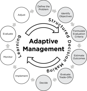 Illustration of the adaptive management cycle.