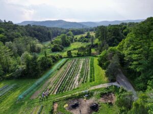 drone shot in July